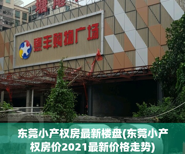 东莞小产权房最新楼盘(东莞小产权房价2021最新价格走势)