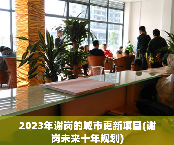 2023年谢岗的城市更新项目(谢岗未来十年规划)