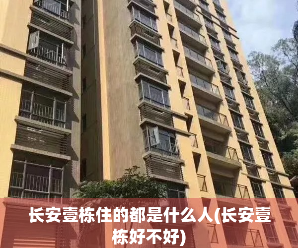 长安壹栋住的都是什么人(长安壹栋好不好)