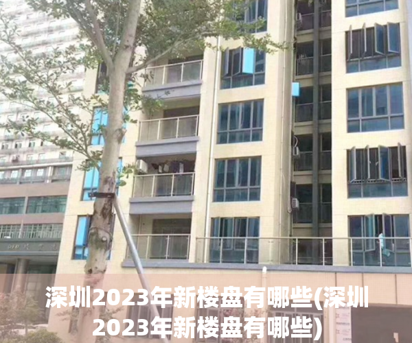 深圳2023年新楼盘有哪些(深圳2023年新楼盘有哪些)