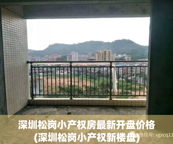 深圳松岗小产权房最新开盘价格(深圳松岗小产权新楼盘)