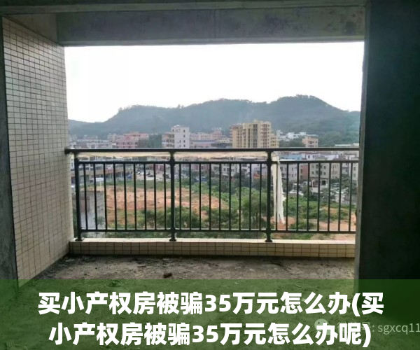 买小产权房被骗35万元怎么办(买小产权房被骗35万元怎么办呢)