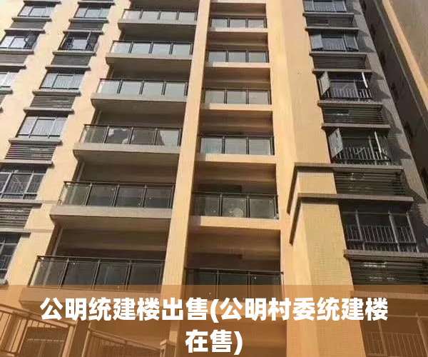 公明统建楼出售(公明村委统建楼在售)