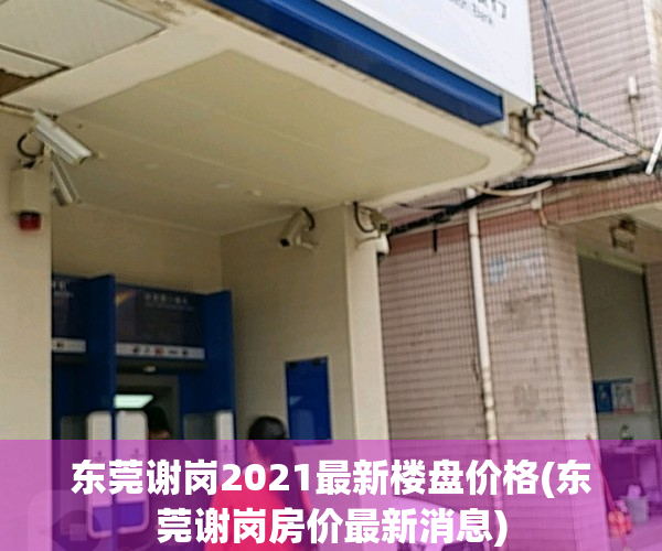 东莞谢岗2021最新楼盘价格(东莞谢岗房价最新消息)