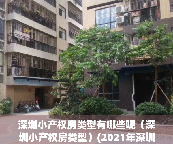 深圳小产权房类型有哪些呢（深圳小产权房类型）(2021年深圳小产权房政策解读)