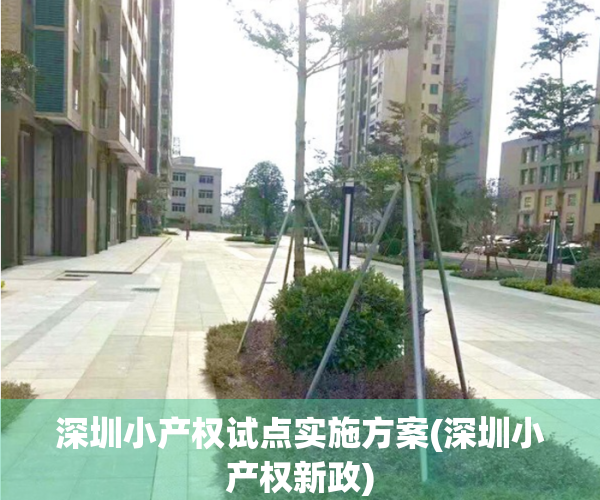 深圳小产权试点实施方案(深圳小产权新政)