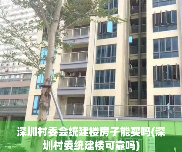 深圳村委会统建楼房子能买吗(深圳村委统建楼可靠吗)