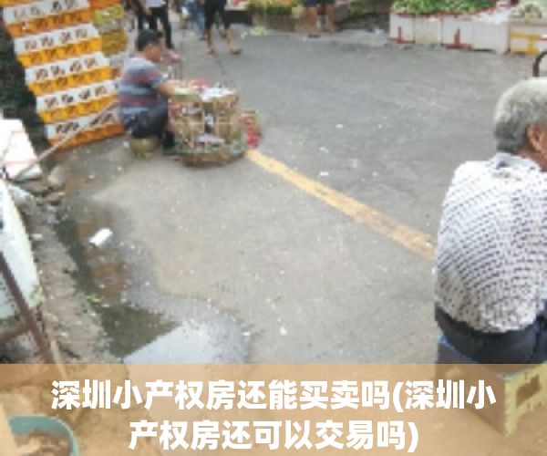 深圳小产权房还能买卖吗(深圳小产权房还可以交易吗)