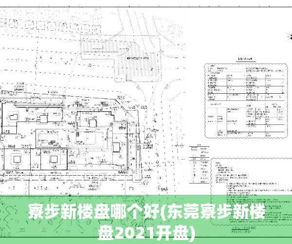 寮步新楼盘哪个好(东莞寮步新楼盘2021开盘)