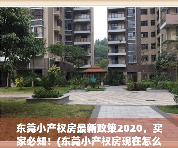 东莞小产权房最新政策2020，买家必知！(东莞小产权房现在怎么样了)