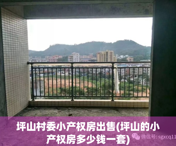 坪山村委小产权房出售(坪山的小产权房多少钱一套)