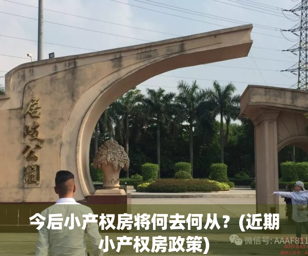 今后小产权房将何去何从？(近期小产权房政策)