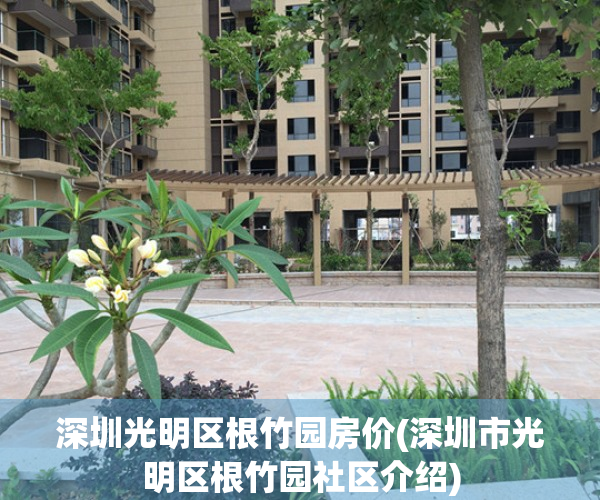 深圳光明区根竹园房价(深圳市光明区根竹园社区介绍)