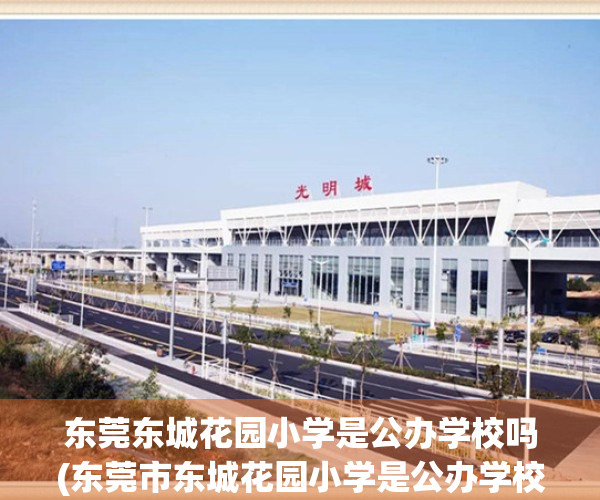 东莞东城花园小学是公办学校吗(东莞市东城花园小学是公办学校吗)