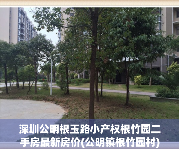 深圳公明根玉路小产权根竹园二手房最新房价(公明镇根竹园村)