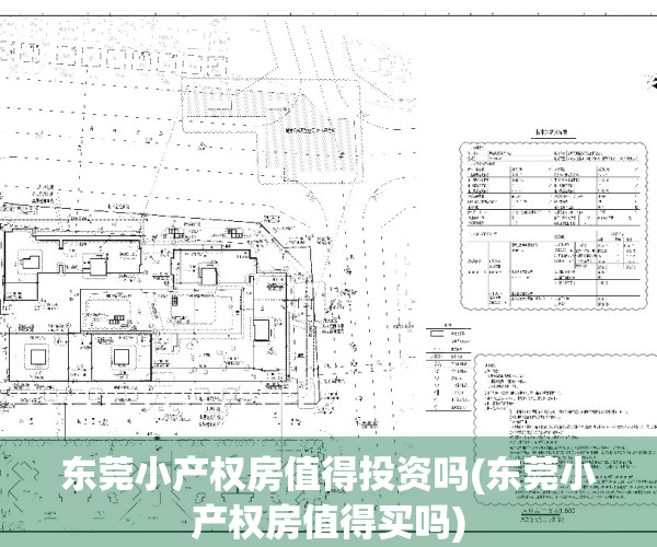 东莞小产权房值得投资吗(东莞小产权房值得买吗)