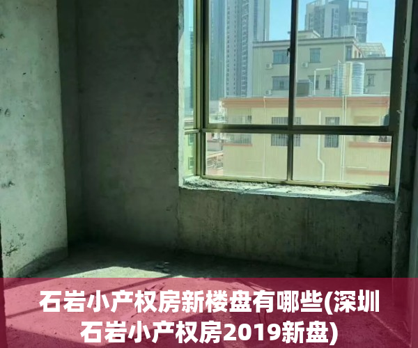 石岩小产权房新楼盘有哪些(深圳石岩小产权房2019新盘)