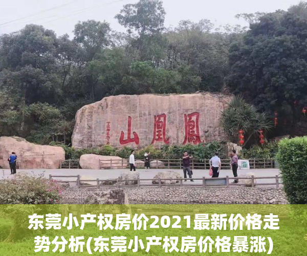 东莞小产权房价2021最新价格走势分析(东莞小产权房价格暴涨)