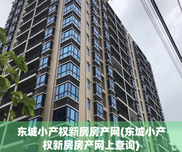 东城小产权新房房产网(东城小产权新房房产网上查询)