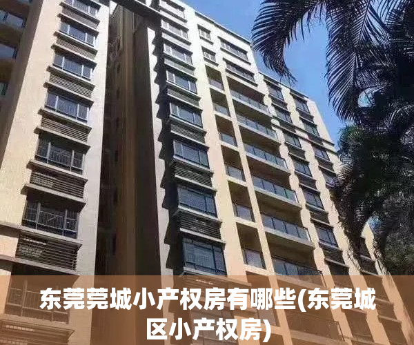 东莞莞城小产权房有哪些(东莞城区小产权房)