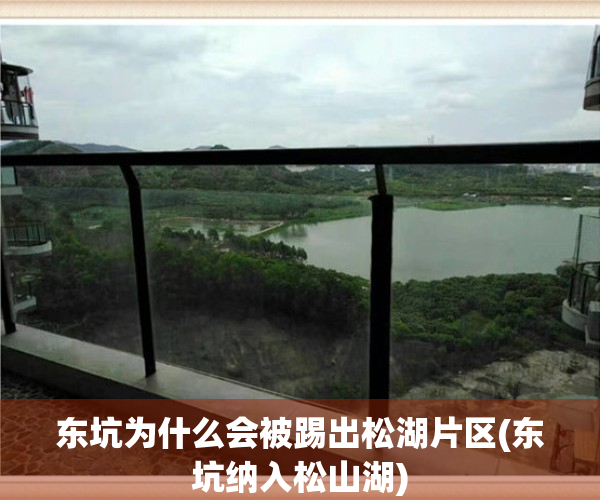 东坑为什么会被踢出松湖片区(东坑纳入松山湖)