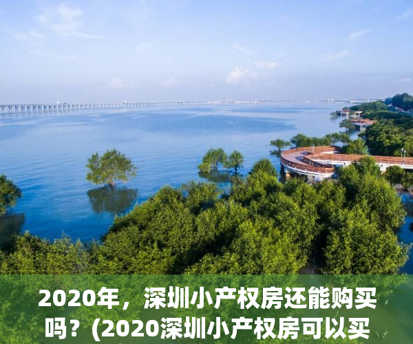 2020年，深圳小产权房还能购买吗？(2020深圳小产权房可以买吗)