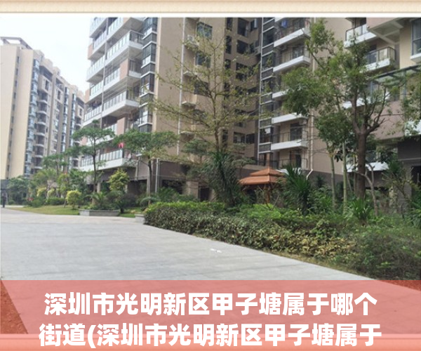 深圳市光明新区甲子塘属于哪个街道(深圳市光明新区甲子塘属于哪个街道办事处)