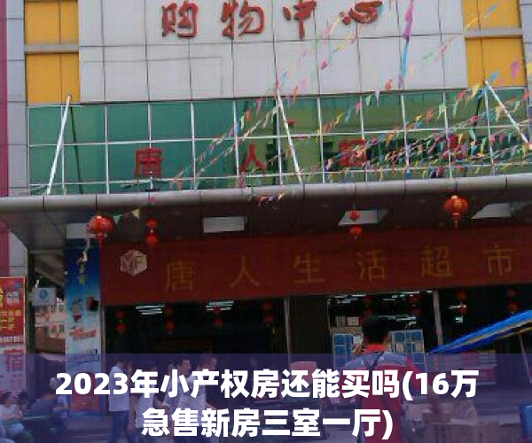 2023年小产权房还能买吗(16万急售新房三室一厅)