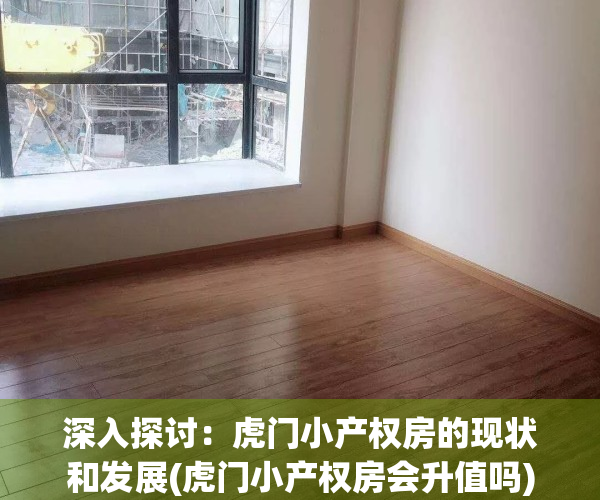 深入探讨：虎门小产权房的现状和发展(虎门小产权房会升值吗)