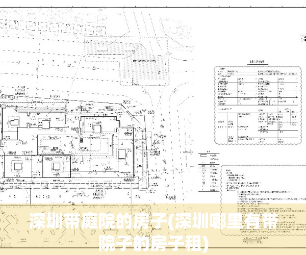 深圳带庭院的房子(深圳哪里有带院子的房子租)