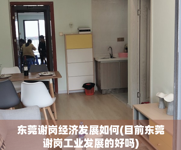 东莞谢岗经济发展如何(目前东莞谢岗工业发展的好吗)