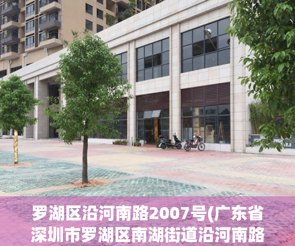 罗湖区沿河南路2007号(广东省深圳市罗湖区南湖街道沿河南路)