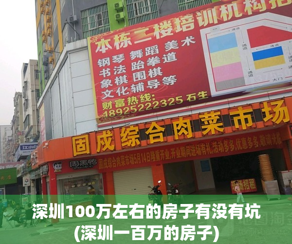 深圳100万左右的房子有没有坑(深圳一百万的房子)