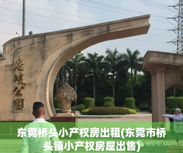 东莞桥头小产权房出租(东莞市桥头镇小产权房屋出售)