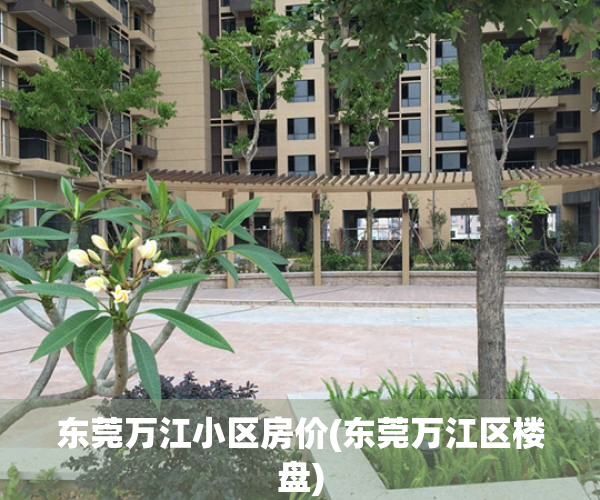 东莞万江小区房价(东莞万江区楼盘)