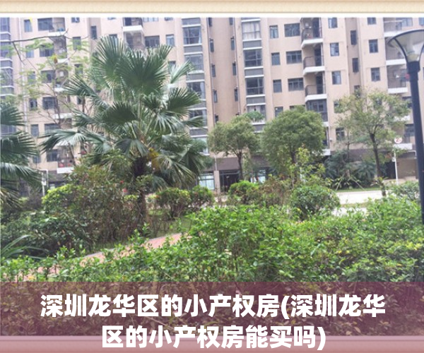 深圳龙华区的小产权房(深圳龙华区的小产权房能买吗)