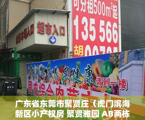 广东省东莞市聚贤庄（虎门滨海新区小产权房 聚贤雅园 AB两栋特价2880）