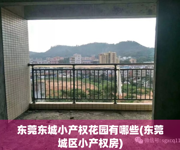 东莞东城小产权花园有哪些(东莞城区小产权房)