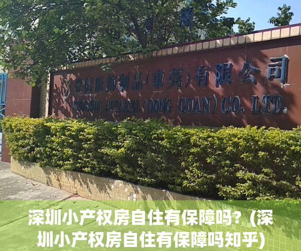 深圳小产权房自住有保障吗？(深圳小产权房自住有保障吗知乎)