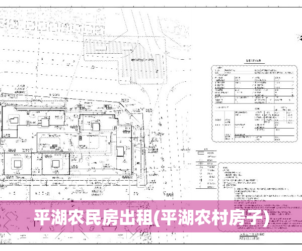 平湖农民房出租(平湖农村房子)