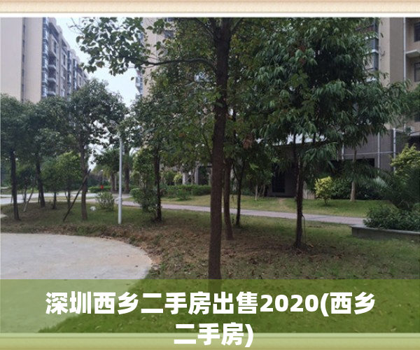 深圳西乡二手房出售2020(西乡 二手房)