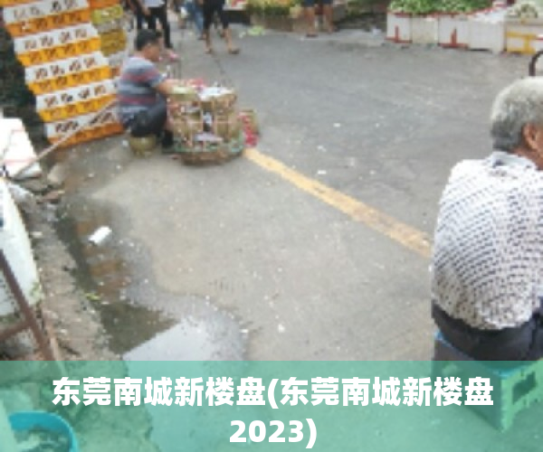 东莞南城新楼盘(东莞南城新楼盘2023)