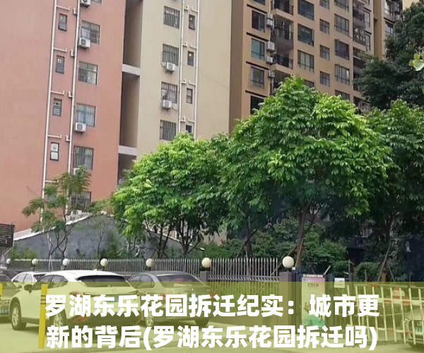 罗湖东乐花园拆迁纪实：城市更新的背后(罗湖东乐花园拆迁吗)