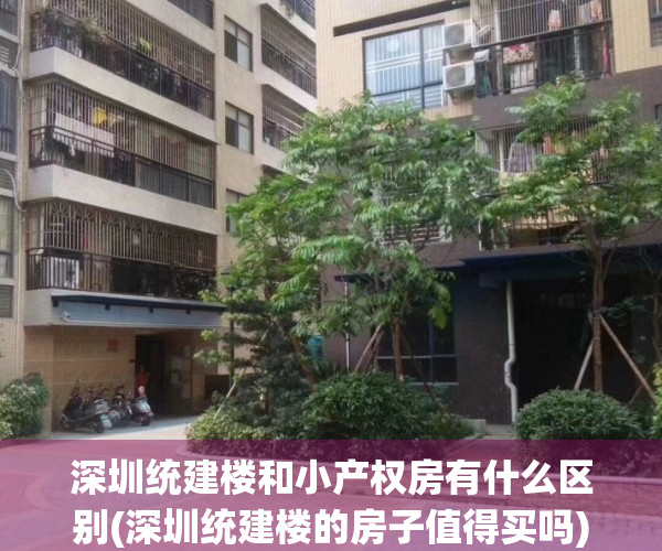 深圳统建楼和小产权房有什么区别(深圳统建楼的房子值得买吗)