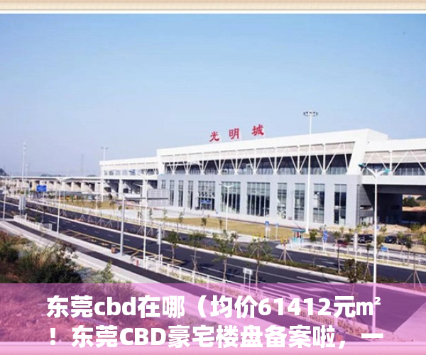 东莞cbd在哪（均价61412元㎡！东莞CBD豪宅楼盘备案啦，一套房最低要卖1172万！）