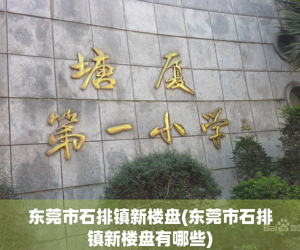 东莞市石排镇新楼盘(东莞市石排镇新楼盘有哪些)