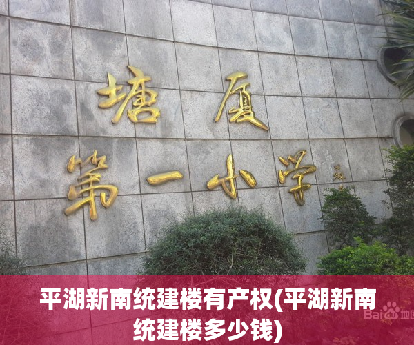 平湖新南统建楼有产权(平湖新南统建楼多少钱)