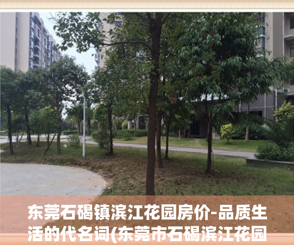 东莞石碣镇滨江花园房价-品质生活的代名词(东莞市石碣滨江花园二手房)