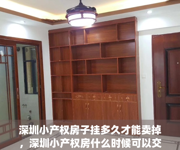 深圳小产权房子挂多久才能卖掉，深圳小产权房什么时候可以交易(深圳小产权房最后会如何处理)