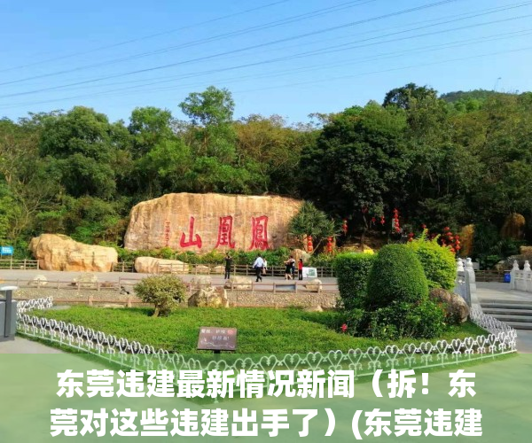 东莞违建最新情况新闻（拆！东莞对这些违建出手了）(东莞违建处理办法)